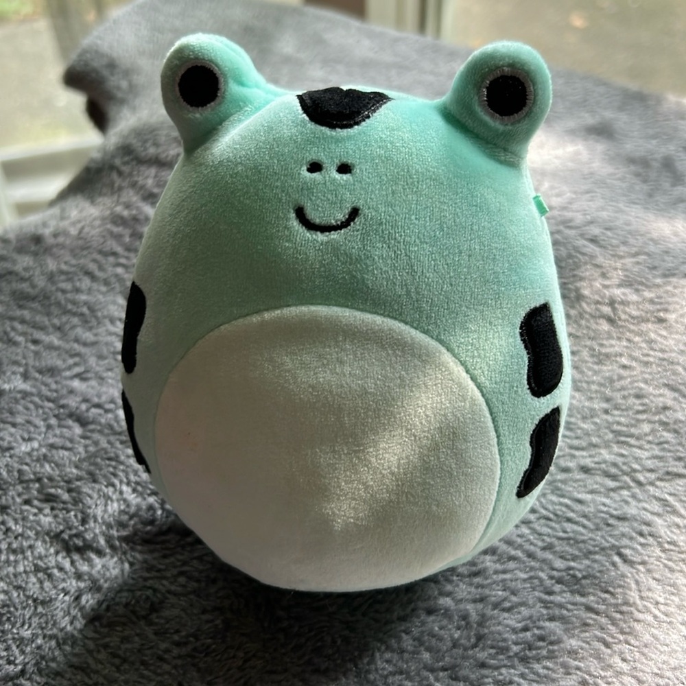 Wendy the Green Frog Small Squishmallows - 5”